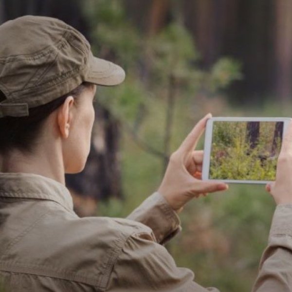 Women in foresty