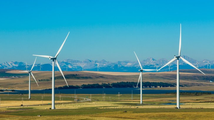 A sunny day with blue sky in a field with wind turbines.