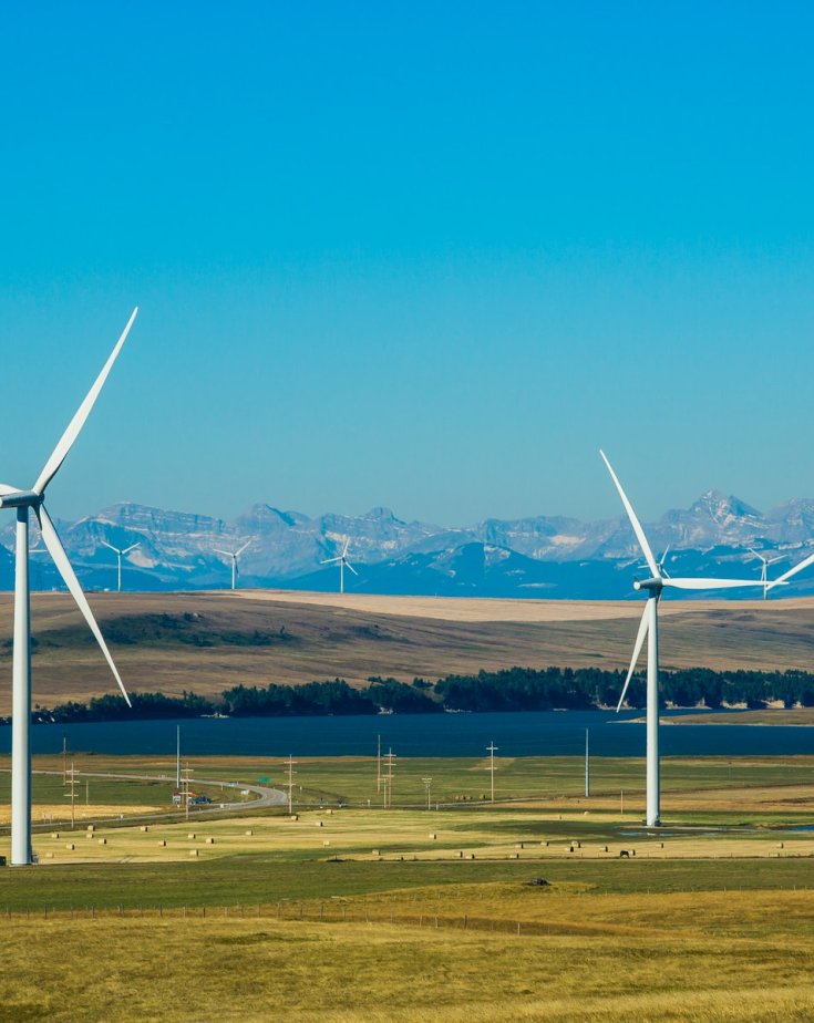 A sunny day with blue sky in a field with wind turbines.