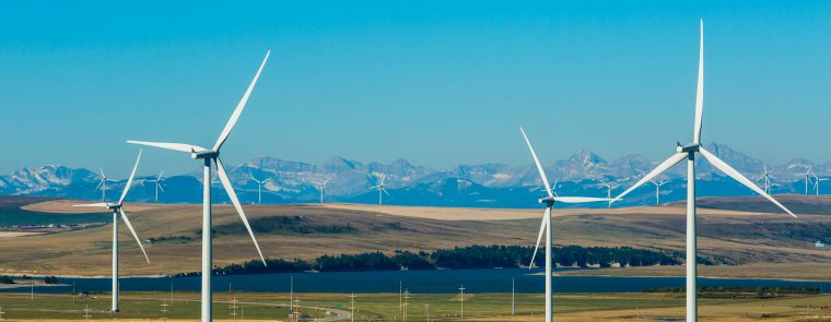 A sunny day with blue sky in a field with wind turbines.
